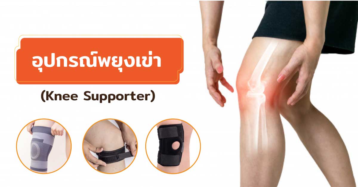 อุปกรณ์พยุงเข่า (Knee Supporter)