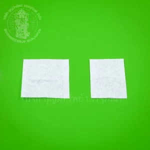 ซองชา เล็ก ใหญ่